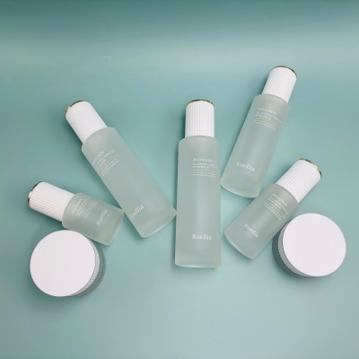 Luxury Frosted Glass Skincare Bottle Set